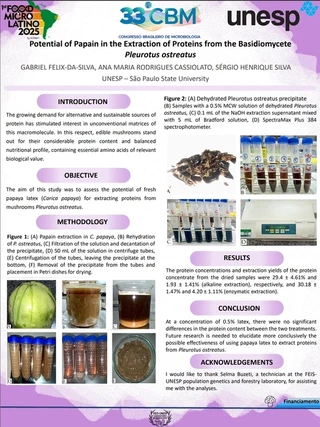 Potential Of Papain In The Extraction Of Proteins From The Basidiomycete Pleurotus Ostreatus