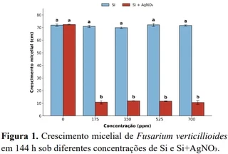 Figura 1. Crescimento micelial de Fusarium verticillioides em 144 h sob diferentes concentrações de Si e Si+AgNO₃.