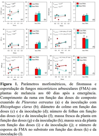 Figura 1. Parâmetros morfométricos, de fitomassa e esporulação de fungos micorrízicos arbusculares (FMA) em plantas de melancia aos 60 dias após a emergência. Comprimento da rama em função das doses do composto exaurido de Pleurotus ostreatus (a) e da inoculação com Rhizophagus clarus (b); diâmetro do colmo em função das doses (c) e da inoculação (d); número de folhas em função das doses (e) e da inoculação (f); massa fresca da planta em função das doses (g) e da inoculação (h); massa seca da planta em função das doses (i) e da inoculação (j); e número de esporos de FMA no substrato em função das doses (k) e da inoculação (l). 