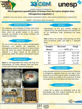 Microorganisms Quantification Of Honeys From The Native Stingless Bees (Tetragonisca Angustula) L.